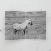 Carte de voeux de Cheval sauvage - Stallion du Pal (Intérieur)