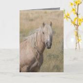 Carte de voeux de Cheval sauvage - Stallion du Pal (Fleur jaune)