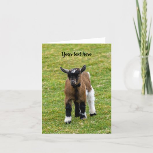 Carte de vœux de chevreau chèvre pygmée (Devant)