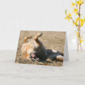 Carte de voeux de chien berger allemand (Fleur jaune)