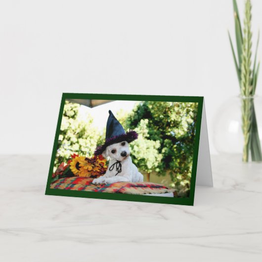 Carte de voeux de chien Bon thanksgiving mignonne (Devant)