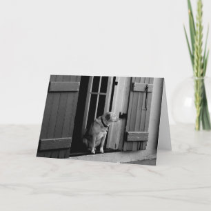 Carte de voeux de chien chanceux personnalisable