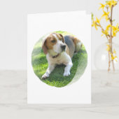 Carte de voeux de chien de chasse de beagle (Fleur jaune)