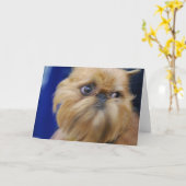 Carte de voeux de chien de griffon de Bruxelles (Fleur jaune)