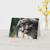 Carte de voeux de chien de Pekingese (Fleur jaune)