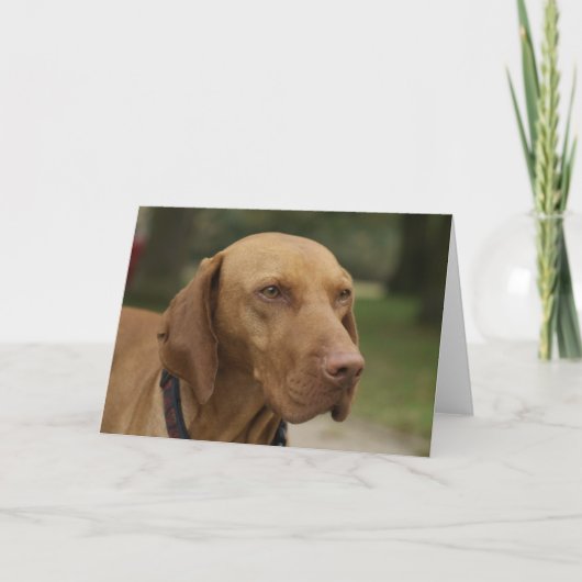 Carte de voeux de chien de Rhodesian Ridgeback (Devant)