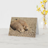 Carte de voeux de chien des Prairies de Yawning (Fleur jaune)