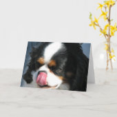 Carte de voeux de chien Spanial Cavalier mignonne (Fleur jaune)