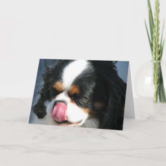 Carte de voeux de chien Spanial Cavalier mignonne (Devant)
