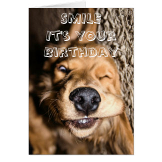 Carte de voeux de chienchien d'anniversaire