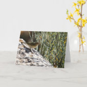 Carte de voeux de Chiffchaff (Fleur jaune)
