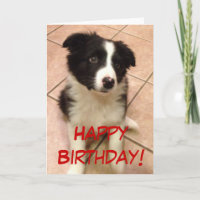 Carte de voeux de chiot de border collie