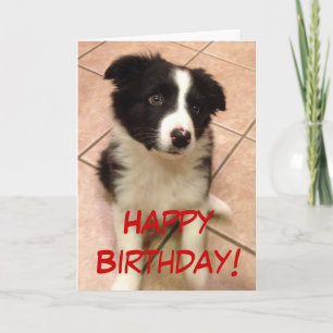Carte de voeux de chiot de border collie