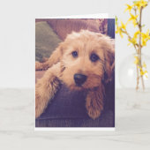 Carte de voeux de chiot de Goldendoodle (Fleur jaune)