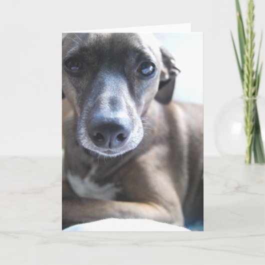 Carte de voeux de chiot de lévrier (Devant)