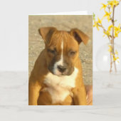 Carte de voeux de chiot de Pitbull (Fleur jaune)