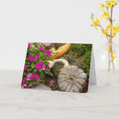 Carte de vœux de citrouilles et d'impatiens d'auto (Fleur jaune)