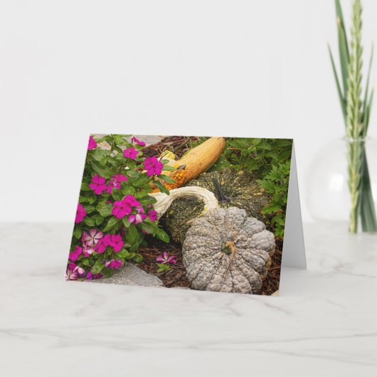 Carte de vœux de citrouilles et d'impatiens d'auto (Devant)