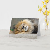Carte de voeux de clin d'oeil de lion (Fleur jaune)
