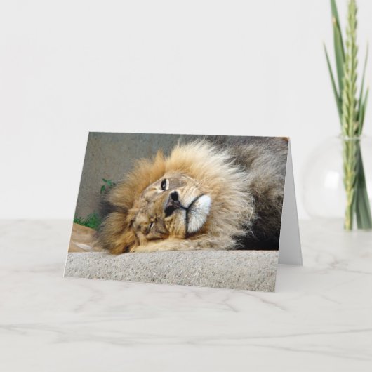 Carte de voeux de clin d'oeil de lion (Devant)