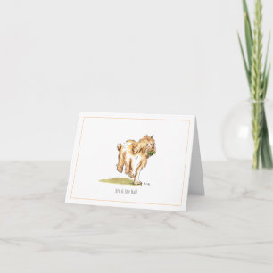 Carte de voeux de Cockapoo "moi et de ma boule"
