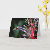 Carte de voeux de colibri (Fleur jaune)