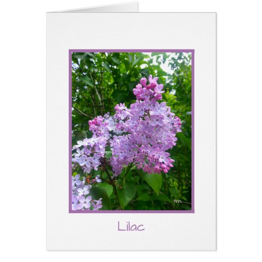 Carte de voeux de collection de "retraite de (Devant)