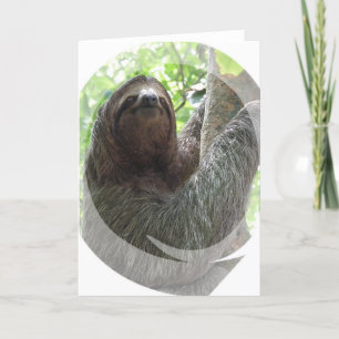 Carte de voeux de conception de photos Sloth