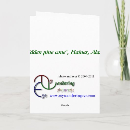 Carte de voeux de cône de pin caché (Dos)