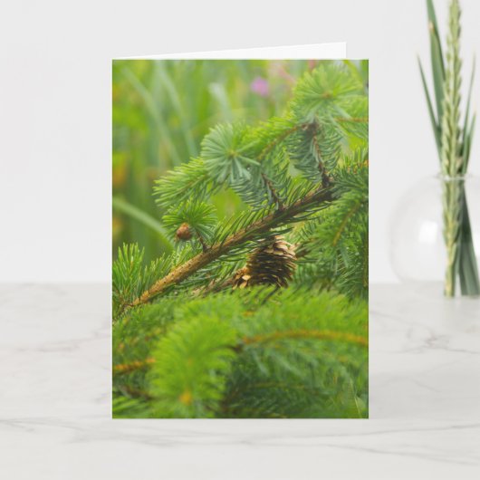 Carte de voeux de cône de pin caché (Devant)