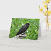 Carte de voeux de corneille américaine, intérieur (Fleur jaune)