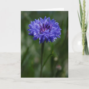 Carte de voeux de Cornflower violet