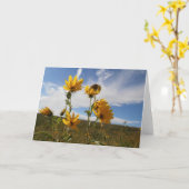 Carte de voeux de coucher du soleil de prairie (Fleur jaune)