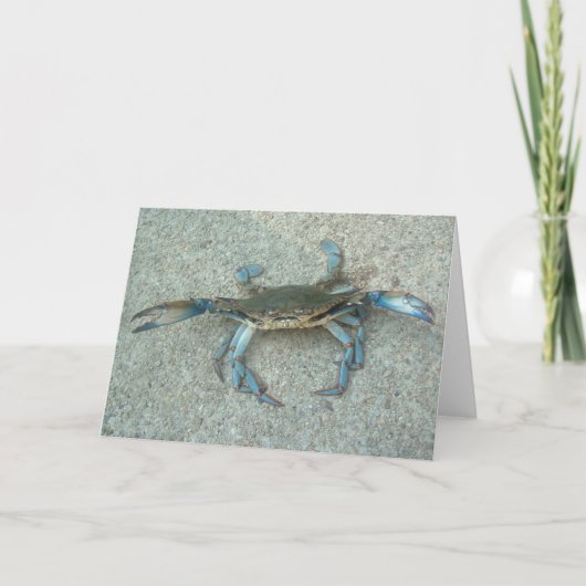 Carte de voeux de crabe bleu du Maryland (Devant)