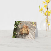 Carte de voeux de crapaud de grenouille d'amitié (Fleur jaune)