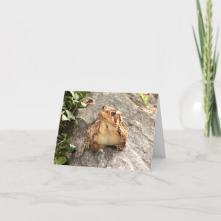 Carte de voeux de crapaud de grenouille d'amitié