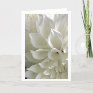 Carte de voeux de dahlia