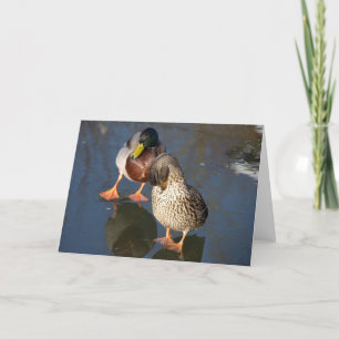 Carte de voeux de deux canards de Mallard