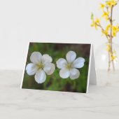 Carte de voeux de deux fleurs blanches (Fleur jaune)