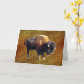 Carte de voeux de faune de Buffalo de bison (Fleur jaune)