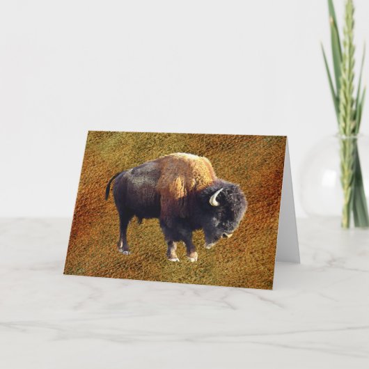 Carte de voeux de faune de Buffalo de bison (Devant)