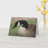 Carte de voeux de faune "d'oie canadienne" (Fleur jaune)