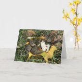 Carte de voeux de fées de chaton (Fleur jaune)