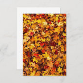 Carte de vœux de feuillage d'automne (Devant / Derrière)