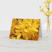 Carte de voeux de fleur de forsythia (Fleur jaune)