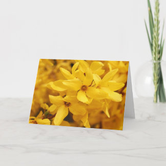 Carte de voeux de fleur de forsythia