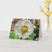 Carte de voeux de fleur de fraise, intérieur vide (Fleur jaune)