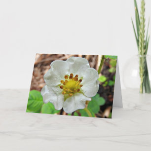 Carte de voeux de fleur de fraise, intérieur vide