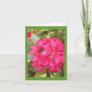 Carte de voeux de fleur de rhododendron