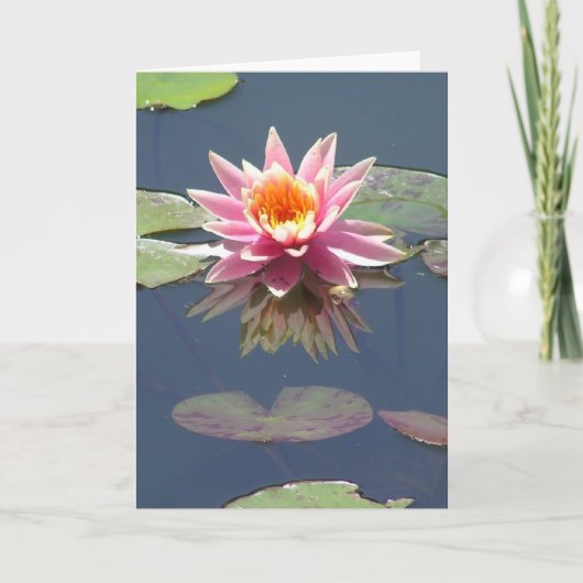 Carte de voeux "de fleur rose de Lotus" (Devant)